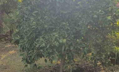 venta terreno lote en del viso