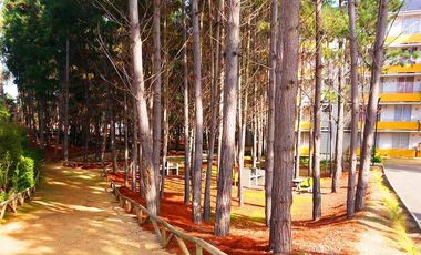 Depto 3d+1b Con Patio, Amoblado Y Estacionamiento.