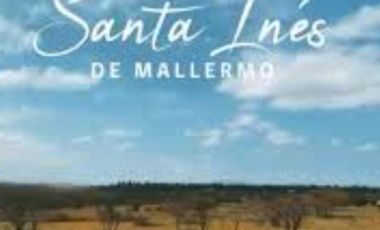 VENTA PARCELA 5500MTS Marchigue