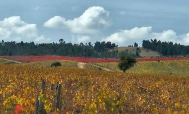 PARCELA DE AGRADO EN SANTA INES DE PALERMO