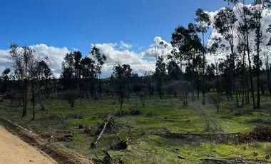 PARCELA DE AGRADO EN SANTA INES DE PALERMO