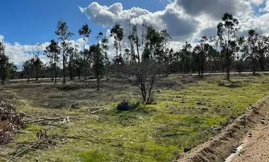 PARCELA DE AGRADO EN SANTA INES DE PALERMO