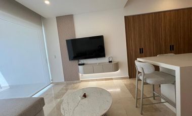 Harbor, Hotel Zone, Puerto Vallarta