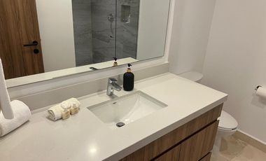 Harbor, Hotel Zone, Puerto Vallarta