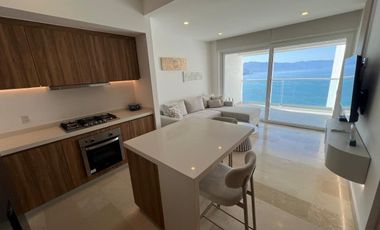 Harbor, Hotel Zone, Puerto Vallarta