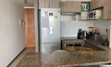 SE ARRIENDA HERMOSO MARZO A DICIEMBRE VISTA AL MAR