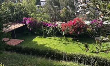 Departamento en Renta Av Toluca Olivar de los Padres tipo LOFTc/Terraza.