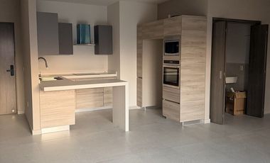 DEPARTAMENTO EN RENTA EN ANIDA