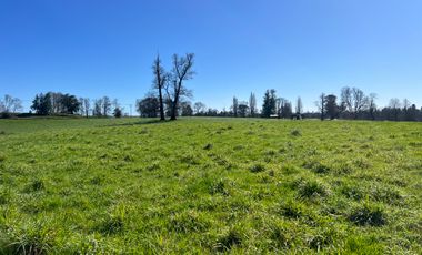 PARCELA A SOLO 5 MINUTOS DE OSORNO