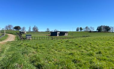 PARCELA A SOLO 5 MINUTOS DE OSORNO