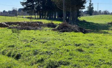 PARCELA A SOLO 5 MINUTOS DE OSORNO