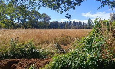 Casa Nueva en Parcela Panguipulli de 6.380 m² a Solo 3 Minutos del Centro urbano.