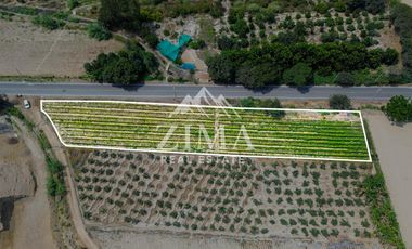 Terreno en Asia