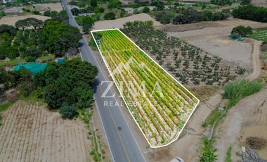 Terreno en Asia
