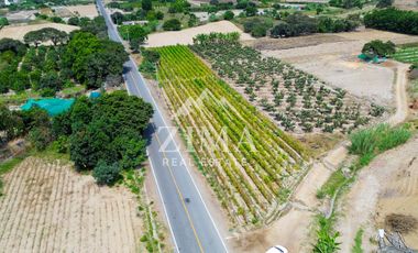 Terreno en Asia