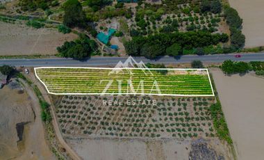 Terreno en Asia