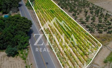 Terreno en Asia
