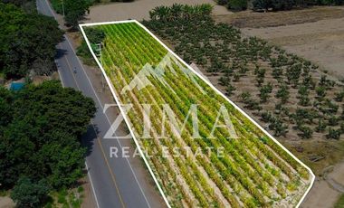 Terreno en Asia