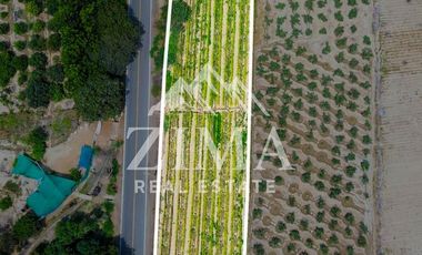 Terreno en Asia