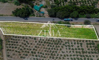 Terreno en Asia