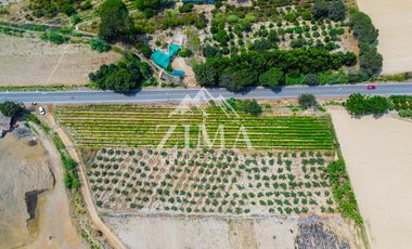 Terreno en Asia