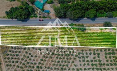 Terreno en Asia