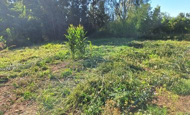 Terreno de Ensueño en Yerbas Buenas, Linares