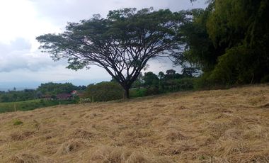 LOTE EN VENTA EN FINLANDIA/QUINDIO