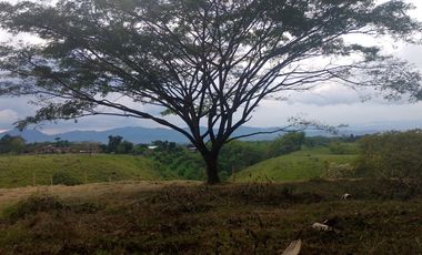 LOTE EN VENTA EN FINLANDIA/QUINDIO