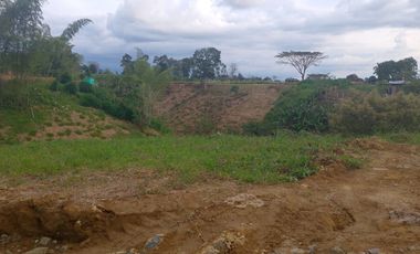 LOTE EN VENTA EN FINLANDIA/QUINDIO