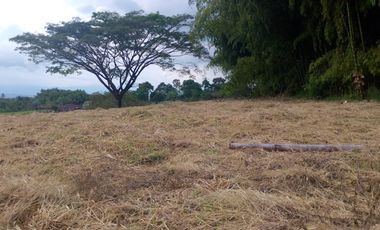 LOTE EN VENTA EN FINLANDIA/QUINDIO
