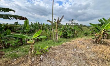LOTE EN VENTA EN FINLANDIA/QUINDIO
