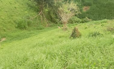 LOTE EN VENTA EN FINLANDIA/QUINDIO