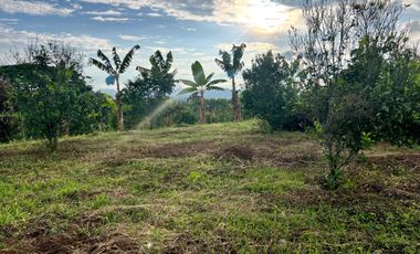 LOTE EN VENTA EN FINLANDIA/QUINDIO