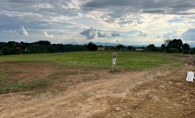 LOTE EN VENTA EN FINLANDIA/QUINDIO