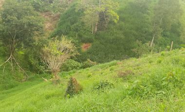 LOTE EN VENTA EN FINLANDIA