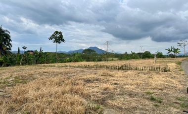 LOTE EN VENTA EN FINLANDIA