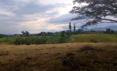 LOTE EN VENTA EN FINLANDIA/QUINDIO