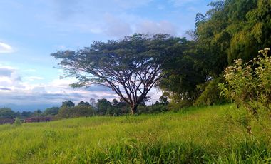 LOTE EN VENTA EN FINLANDIA/QUINDIO