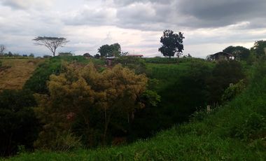 LOTE EN VENTA EN FINLANDIA/QUINDIO
