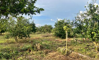 LOTE EN VENTA EN FINLANDIA/QUINDIO