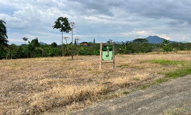 LOTE EN VENTA EN FINLANDIA/QUINDIO
