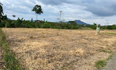 LOTE EN VENTA EN FINLANDIA/QUINDIO