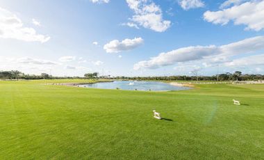 Terreno en venta en privada Provincia con club de golf, Mérida, Yucatán