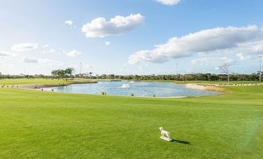 Terreno en venta en privada Provincia con club de golf, Mérida, Yucatán