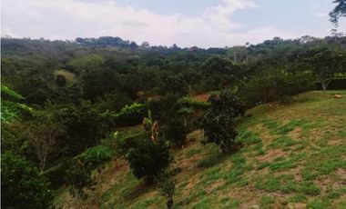 Lote en La Mesa condominio La Traviata