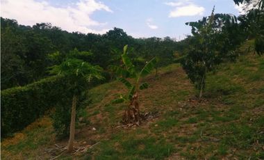 Lote en La Mesa condominio La Traviata