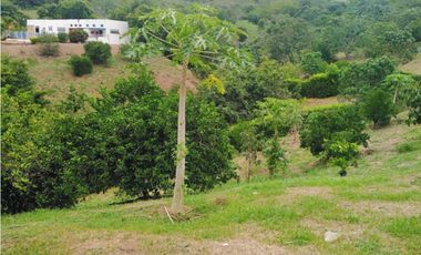 Lote en La Mesa condominio La Traviata