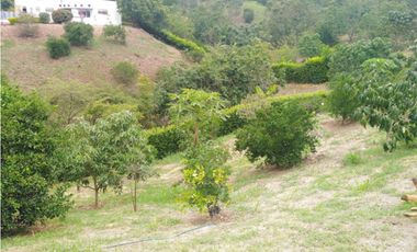 Lote en La Mesa condominio La Traviata