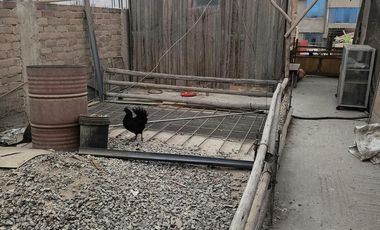 VENDO CASA EN SAN ANTONIO DE JICAMARCA